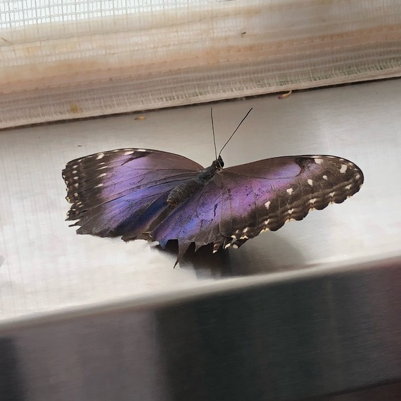 Meet your Posher, Heidi - Picture 1 of 1